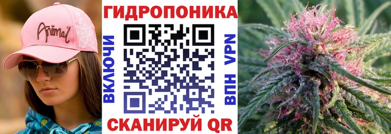 Все наркотики Чернушка АМФЕТАМИН  БУТИРАТ  kraken tor  Галлюциногенные грибы  Канабис 