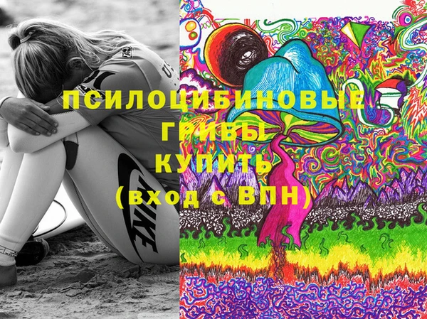 эйфоретик Ладушкин