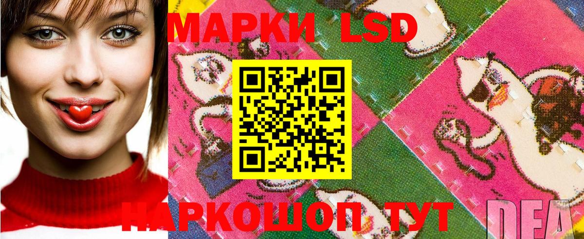 Марки 25I-NBOMe 1,5мг Чернушка