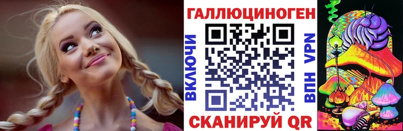 Галлюциногенные грибы Psilocybine cubensis  Чернушка 