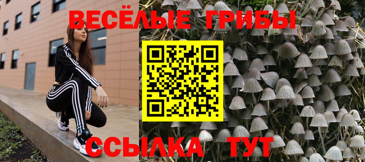 Галлюциногенные грибы MAGIC MUSHROOMS Чернушка