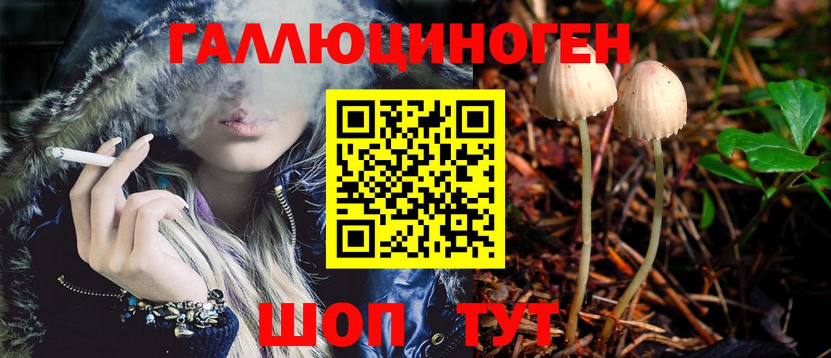 Псилоцибиновые грибы GOLDEN TEACHER  Вход с VPN  Чернушка 